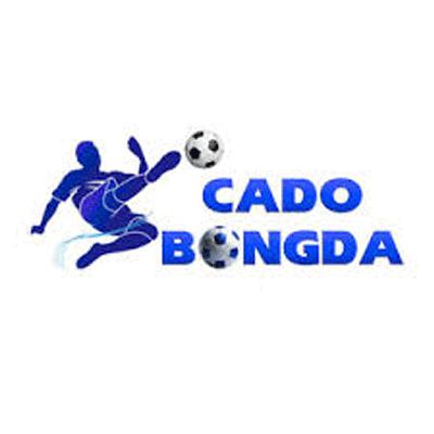 Tin tức trong giới gamming: CÁ ĐỘ BÓNG ĐÁ