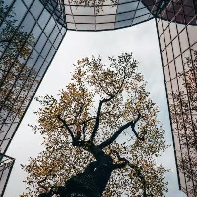 EPISODE 2 (Review of Poetry - GeGaNa(Gelisah Galau Merana))