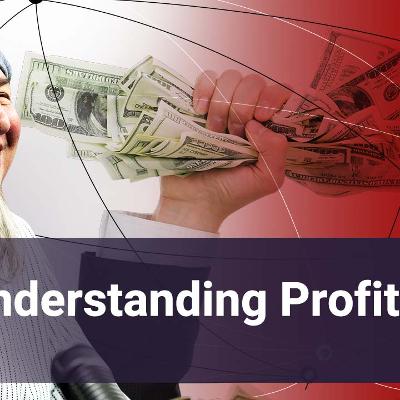 Understanding Profitability