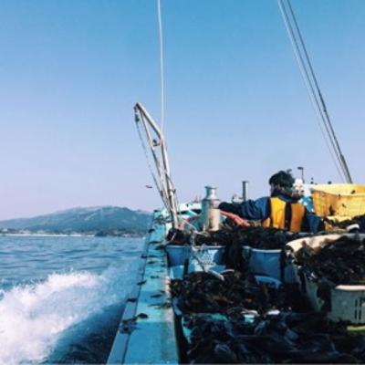 #9三陸のリアス式海岸が織りなす美食と絶景、そして暮らし（岩手県陸前高田市広田町）