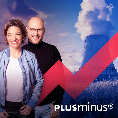 Atomkraft: Gibt es wirklich ein weltweites Comeback?