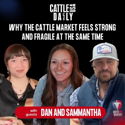 253: Why the Cattle Market Feels Strong and Fragile at the Same Time with Dan and Samantha