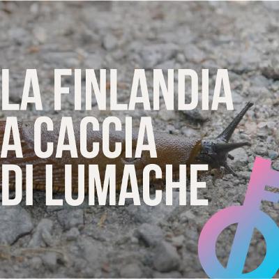 La Finlandia ti paga per cacciare lumache