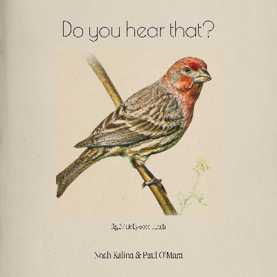 Hollywood Finch