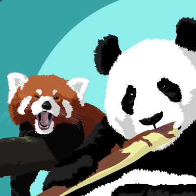 Why There Are Two Pandas