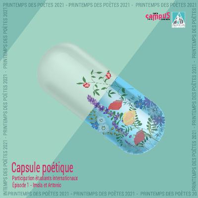 Capsule poétique