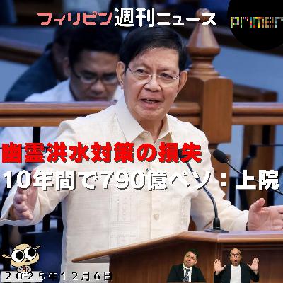 フィリピンのニュース 「幽霊洪水対策の損失、10年間で790億ペソ：上院」