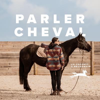 #138 - Les nouveaux propriétaires de chevaux #138 - Les nouveaux propriétaires de chevaux