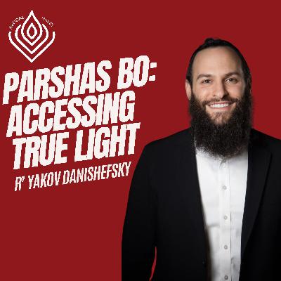 Bo: Accessing True Light Bo: Accessing True Light