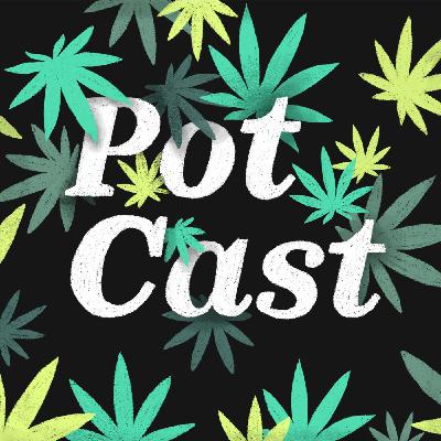 Inside the silent culture of marijuana farms in California's Emerald Triangle Inside the silent culture of marijuana farms in California's Emerald Triangle