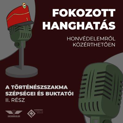 A történészszakma szépségei és buktatói II. rész