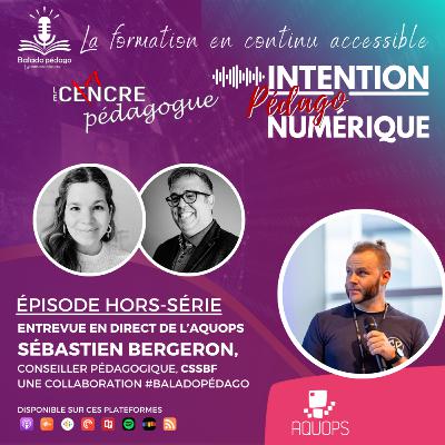 Hors série | Entrevue avec Sébastien Bergeron, Conseiller pédagogique au CSSBF Hors série | Entrevue avec Sébastien Bergeron, Conseiller pédagogique au CSSBF