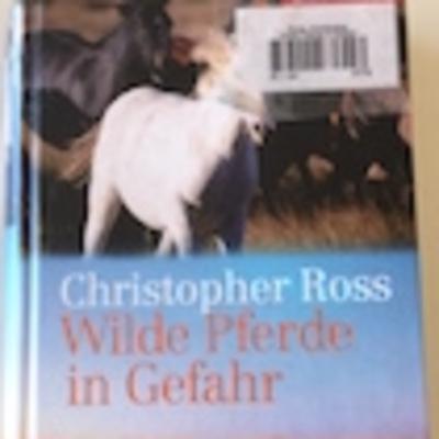 Wilde Pferde in Gefahr