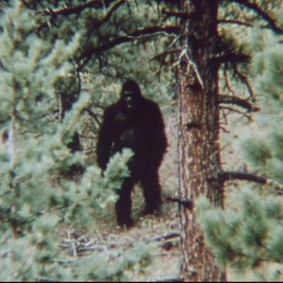 Park Ranger SPILLS THE BEANS Stay Far Away From North Carolina Mountains
