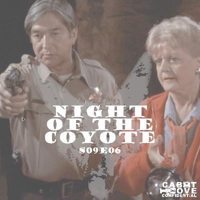 S09E06 - Night Of The Coyote