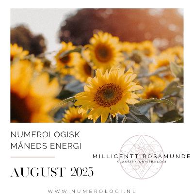 2025 | Numerologisk energi i august måned i år 2025 2025 | Numerologisk energi i august måned i år 2025