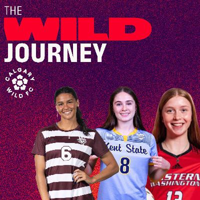 Rising Stars Spotlight