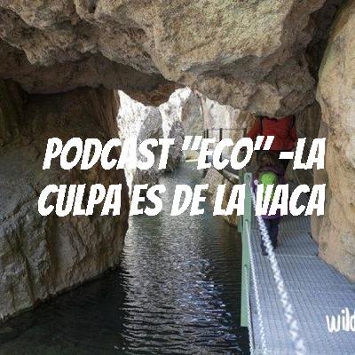 Podcast Eco - La Culpa fue de la Vaca