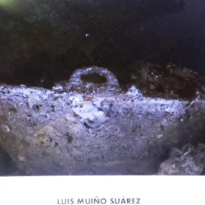 Entregados premios del Gran Prix Cubano de Fotografía Subacuática Faro Luna 2025 Entregados premios del Gran Prix Cubano de Fotografía Subacuática Faro Luna 2025