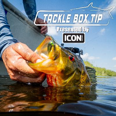 Top Fly choices for South Florida Exotics: Peacock Bass, Cichlids, Jaguars Top Fly choices for South Florida Exotics: Peacock Bass, Cichlids, Jaguars