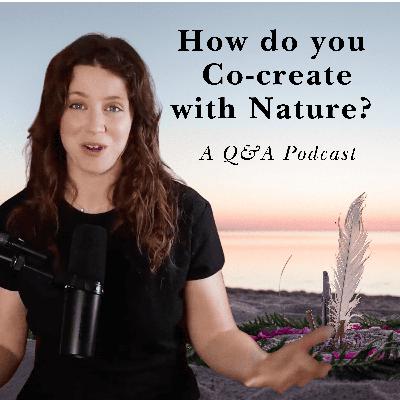 How do you co-create with nature? (a Q&A podcast)