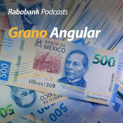 Peso fuerte y campo bajo presión