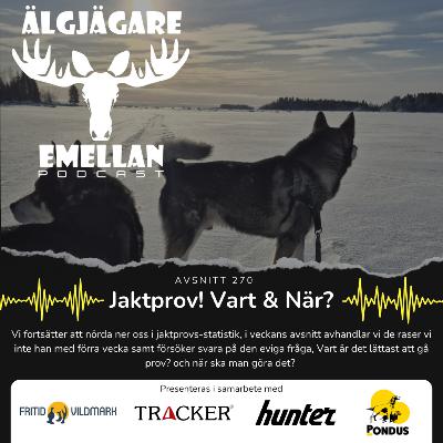 270. Jaktprov! Vart & När? 270. Jaktprov! Vart & När?