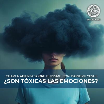 ¿SON TÓXICAS LAS EMOCIONES?