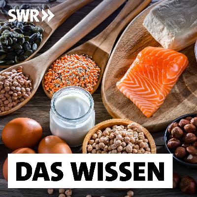Gesund zunehmen – Was hilft bei Gewichtsverlust?