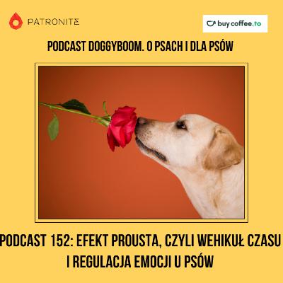 Podcast 152: Efekt Prousta, czyli Wehukuł czasu i regulacja emocji u psów