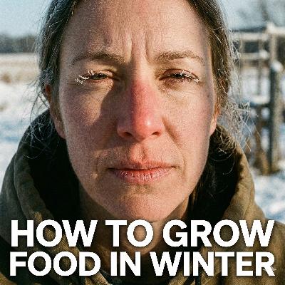 How to Grow Food in Winter: The Low-Cost Guide to a 360-Day Garden How to Grow Food in Winter: The Low-Cost Guide to a 360-Day Garden