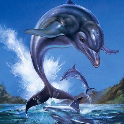 Episode 297 | "Life is an Ecco"