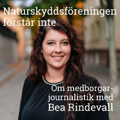 NF:s Ordförande Bea Rindevall om medborgarjournalistik NF:s Ordförande Bea Rindevall om medborgarjournalistik