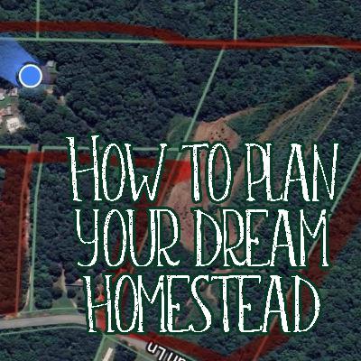 How to get started homesteading! Behind the scenes! Build a pond? Where to put the garden? Getting Livestock? How to get started homesteading! Behind the scenes! Build a pond? Where to put the garden? Getting Livestock?