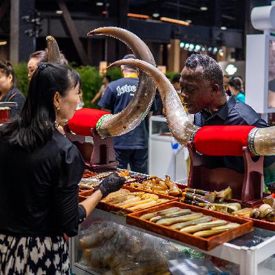 CIFTIS 2025: How African economies benefit from China's expanding trade in services