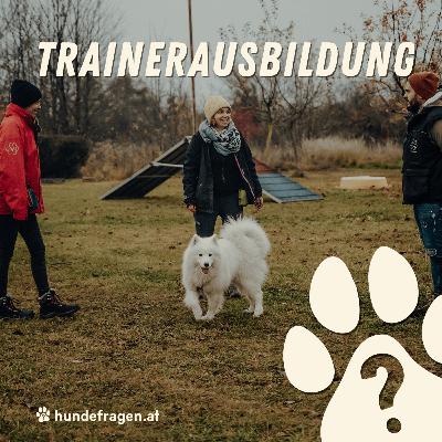 Trainerausbildung Hundeschule hundefragen | HUNDEQUATSCHEREI