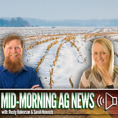 Mid-morning Ag News, February 13, 2026: Possible impacts of "false spring" Mid-morning Ag News, February 13, 2026: Possible impacts of "false spring"