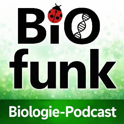 BiOfunk (80): Fieber – Waffe des Immunsystems oder Gefahr für den Körper