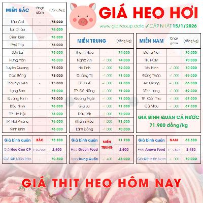GIÁ HEO HƠI 15/1/2026 ✅ GIÁ THỊT LỢN & TIN TỨC CHĂN NUÔI #GIAHEOHOI #GIATHITHEO #GIAHEOUPDATE