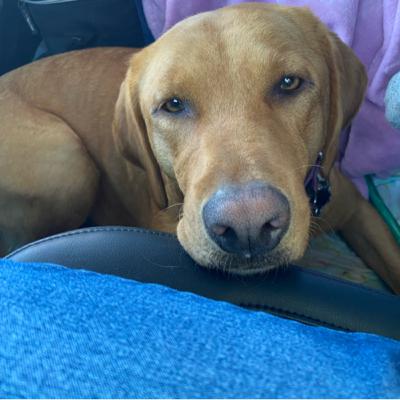 The Daughter and Scary Lady