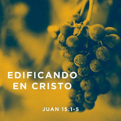 Edificando en Cristo: Parte 3
