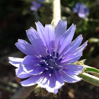 The Truth About Thyroid Imbalance