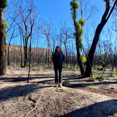 Travailler dans des régions touchées par des feux de forêt - L'expérience de Juliette