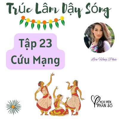 Cứu Mạng "Trúc Lâm Dậy Sóng" Hộ Giác - TẬP 23 Cứu Mạng "Trúc Lâm Dậy Sóng" Hộ Giác - TẬP 23