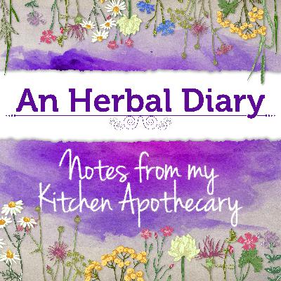 The Medicine of Tree Bark and Flowering Spring Trees