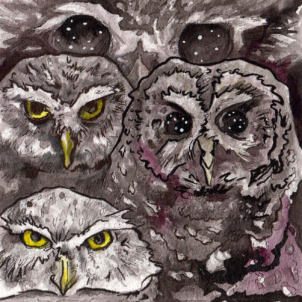 NoSleep Podcast S9E22 NoSleep Podcast S9E22
