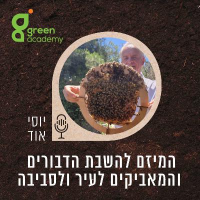 עולם הדבורים חשוב לנו כדי לשרוד – לא יהיו חיים ללא הדבורים, הן האחראיות לרוב המזון שלנו.