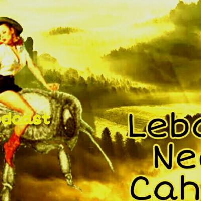 Lebah & Negri Cahaya Lebah & Negri Cahaya