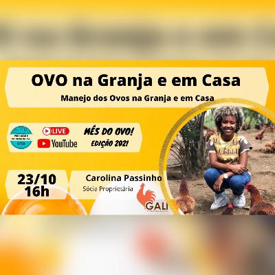 Manejo dos ovos na granja e em casa - Mês do Ovo