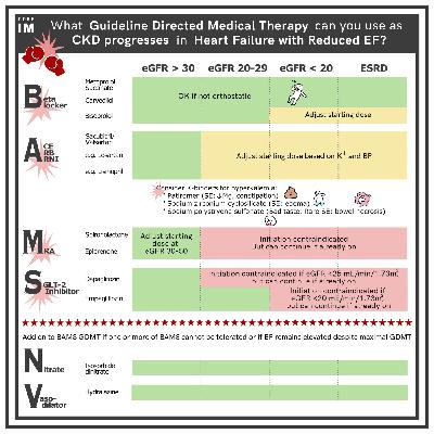 #135 Guideline Directed Medical Therapy Part II: 5 Pearls Segment